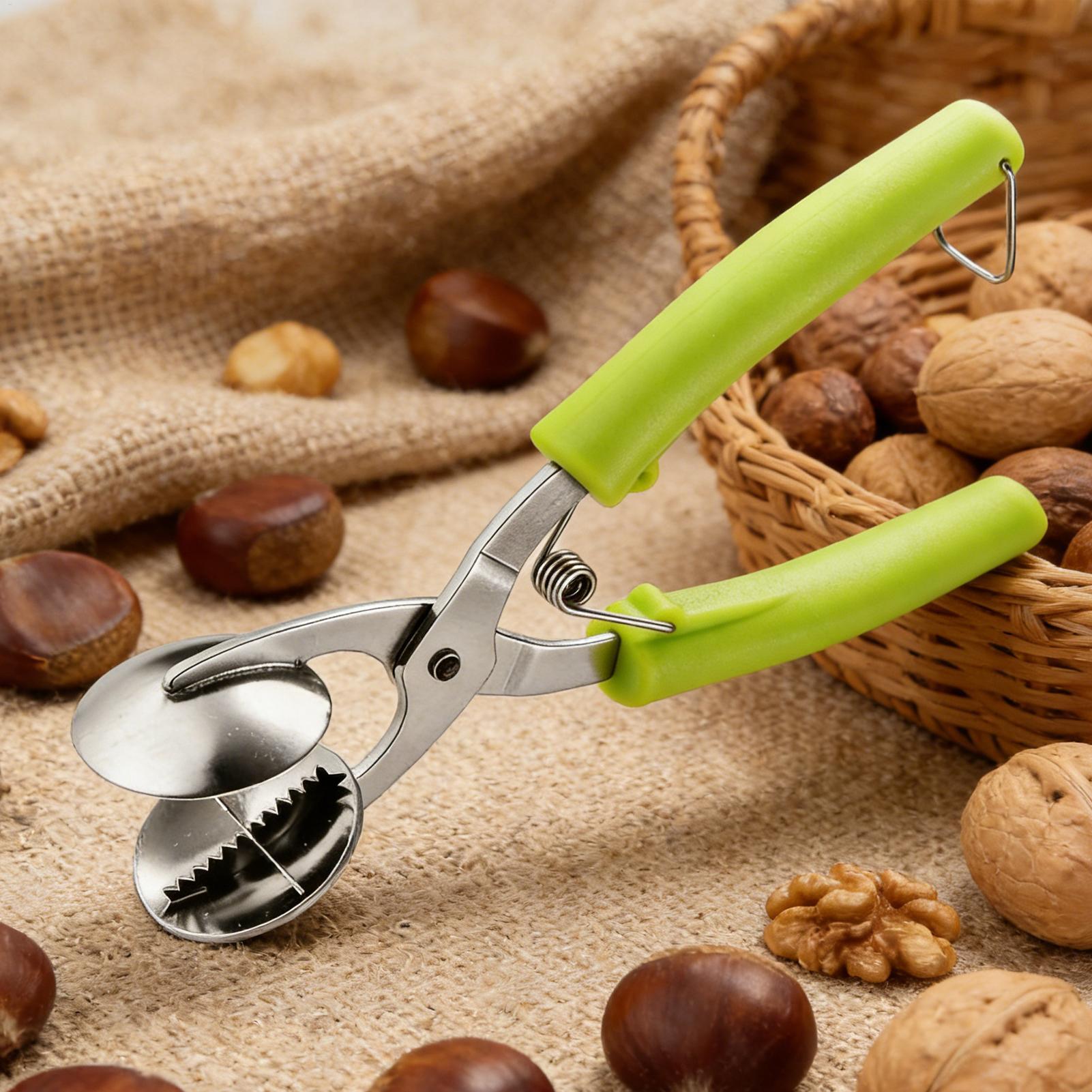 Stainless Chestnut Machine Kit - Kitchen Appliances Gift 评论和价格