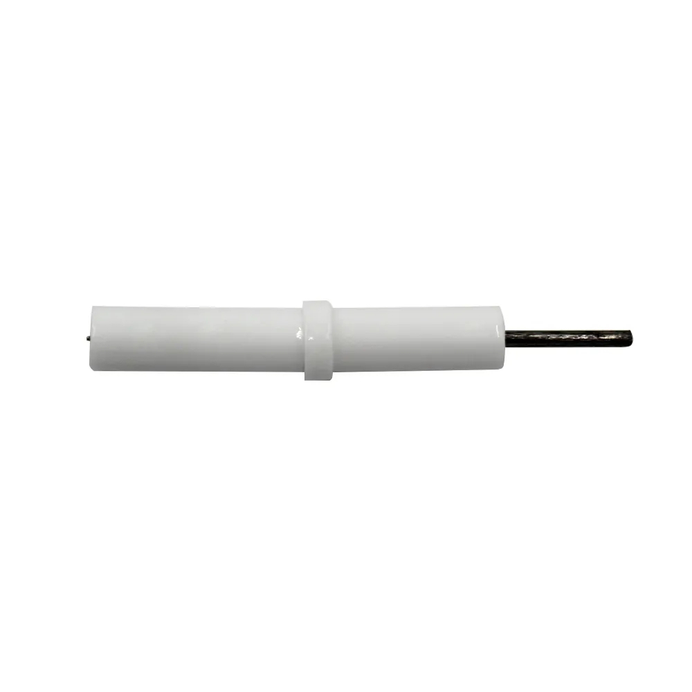 Ceramic Electrode Needle Ignit - Kitchen Appliances Electric Stove 评论和价格